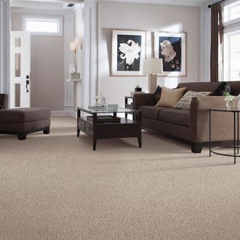 Carpet in Windermere FL from All Floors of Orlando
