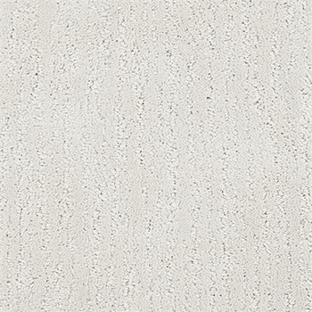 Carpet in Charlotte, NC