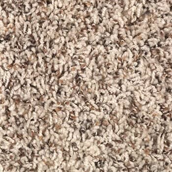 Shop for Carpet in Belton, TX from Surface Source Design Center