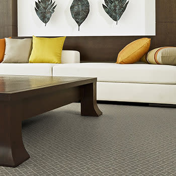 Shop for Carpet in Sandy Spring, GA from Great American Floors