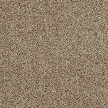 Shop for Carpet tile in Wheat Ridge, CO from Simply Floors