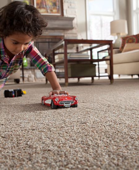 Family friendly carpet in Sterling  VA from Floorware