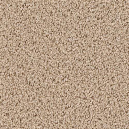 Shop for Carpet in Rockville, MD from Rainbow Flooring Outlet