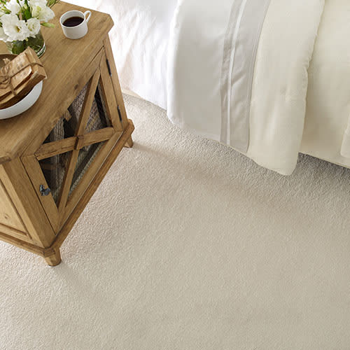 Carpet in Zeeland, MI