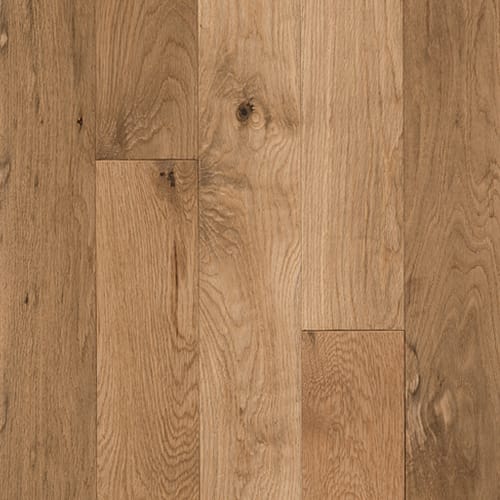Hardwood in Saint Croix Falls, WI