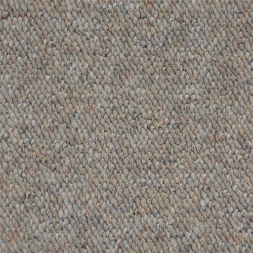 Shop for Carpet in Rural Hall, NC from Professional Carpet Systems