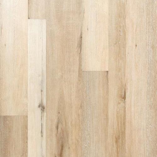 Waterproof in Oak Bluff, MB