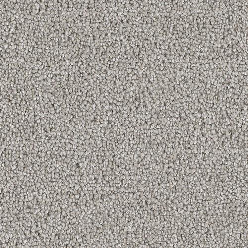 Shop for Carpet in Salem, OR from Tim's Carpet and Interiors