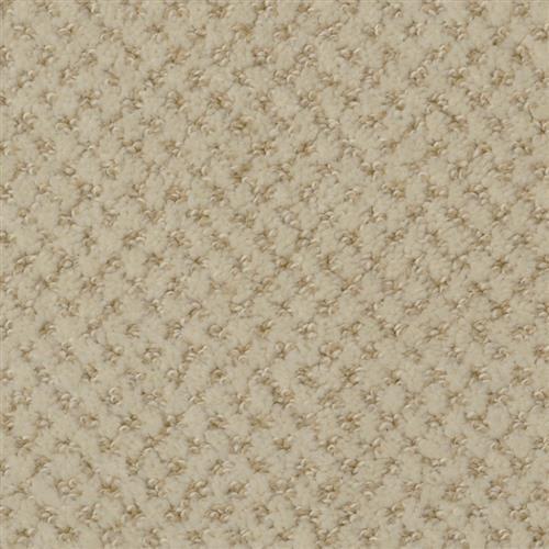 Shop for Carpet in Erie, PA from Lakefront Flooring