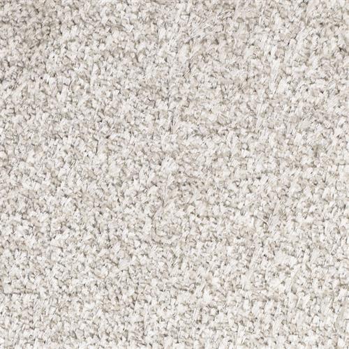 Shop for Carpet in Cleveland, OH from Calvetta Bros.