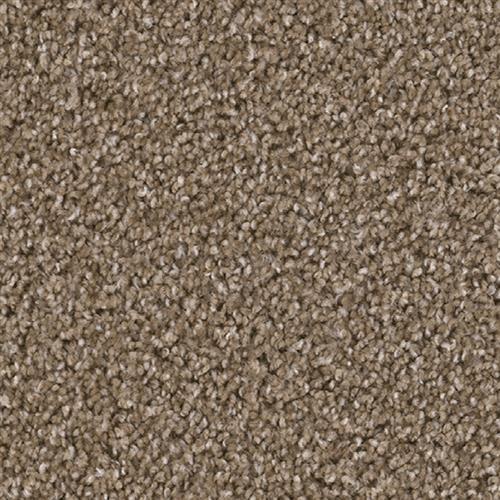 Shop for Carpet in West Chester Township, OH from Cutting Edge Flooring Services LLC