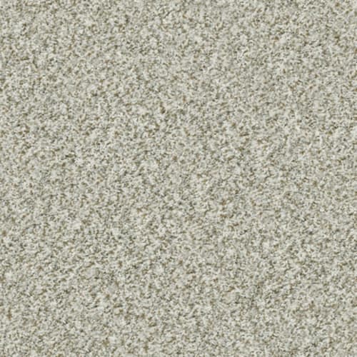 Shop for Carpet in Martinsburg, PA from Cove Flooring & Design LLC