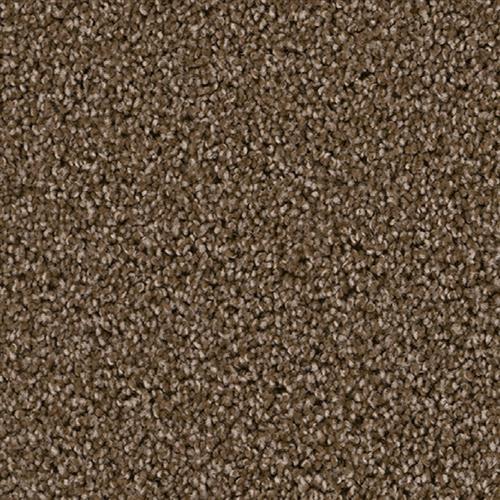 Carpet in Hayward, CA