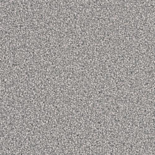 Shop for Carpet in Anderson, SC from Mike's Wholesale Flooring