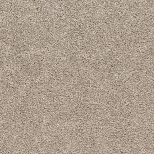 Shop for Carpet in Ocala, FL from Ocala Floors and More