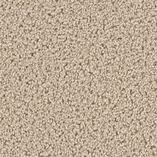 Shop for Carpet in Silverdale, WA from All Floors and More