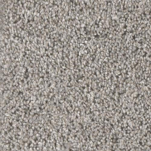 Shop for Carpet in Raleigh, NC from Carolina In Home Flooring