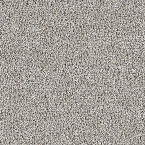 Shop for Carpet in Ogden, UT from Steprac Flooring