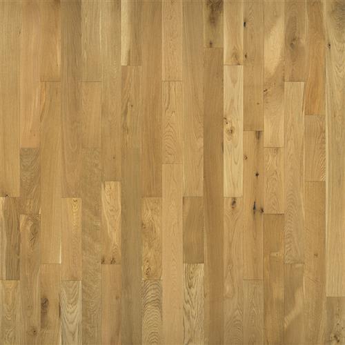 Shop for Hardwood flooring in Menasha, WI from House of Flooring