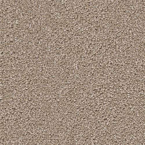 Shop for Carpet in Remsen, IA from Moeller Carpet & Floor Covering