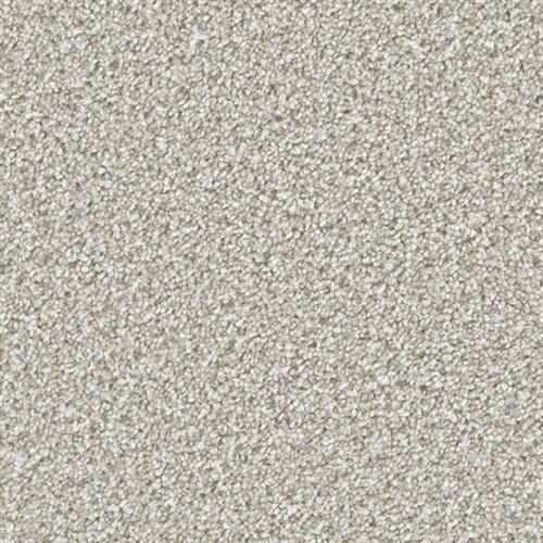 Shop for Carpet in Marysville, WA from Jays Flooring LLC