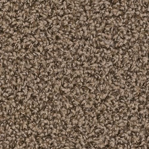 Shop for Carpet in Pottstown, PA from Gary’s Flooring Depot