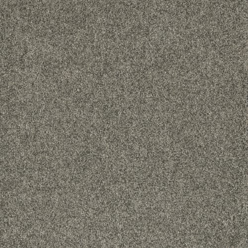 Shop for Carpet in Winnipeg, MB from MFGS Carpet and Vinyl