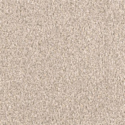 Shop for Carpet in Knoxville, TN from Factory Carpet Warehouse