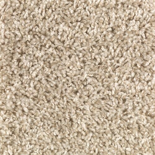 Shop for Carpet in Garland, TX from Forever Floors Wholesale