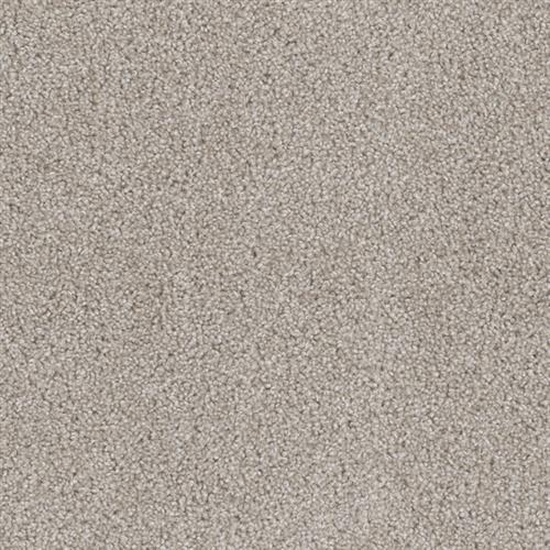 Shop for Carpet in Rochester, MN from Eddie's Flooring