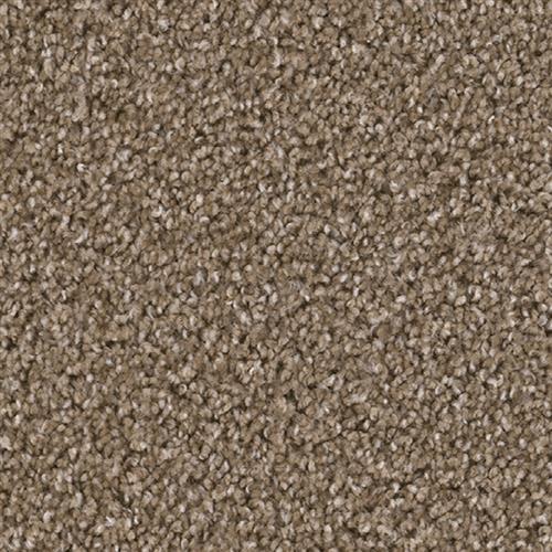 Shop for Carpet in Canton, NC from Hometown Flooring & Cabinetry