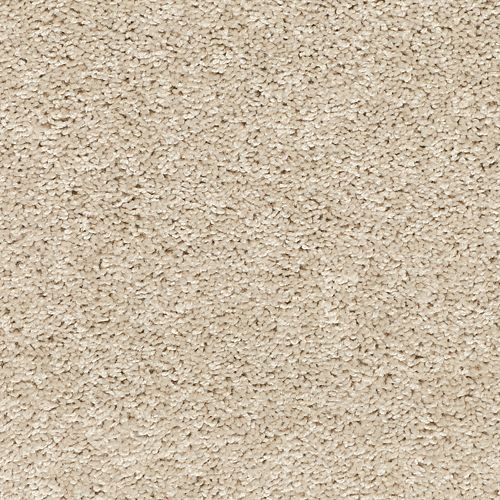 Shop for Carpet in Valdosta, GA from Little River Flooring