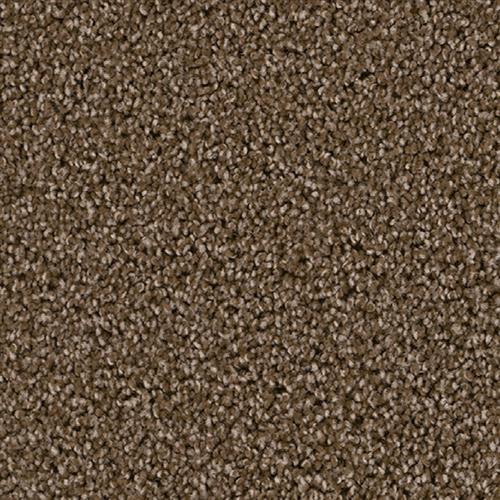 Shop for Carpet in Hayward, CA from CK Floors