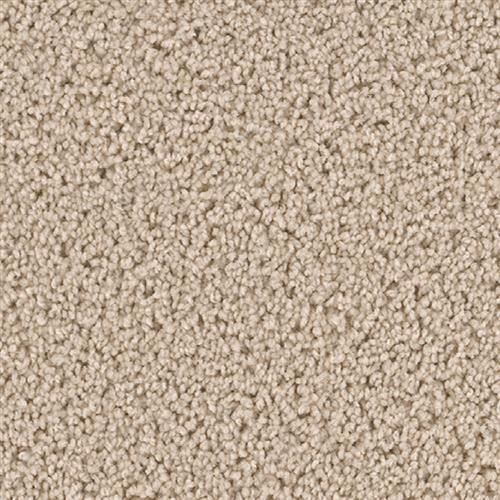 Shop for Carpet in Wausau, WI from Woodstock Flooring & Design Center