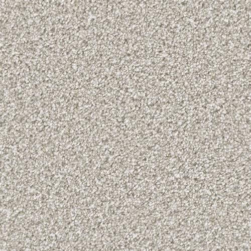 Shop for Carpet in Moorestown, NJ from Rodrigues Flooring