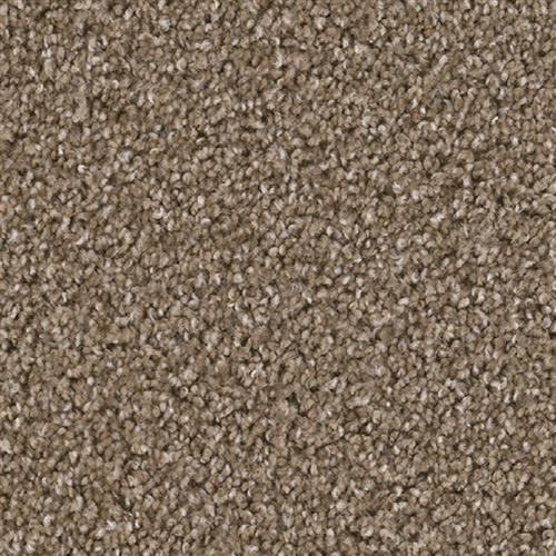 Shop for Carpet in Guelph, ON from Bigelow Flooring