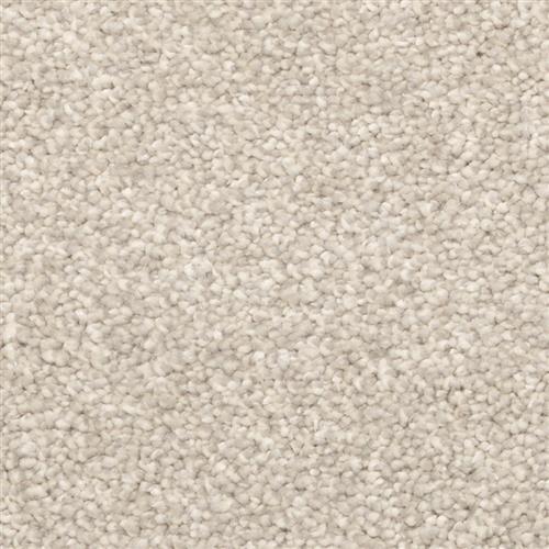 Shop for Carpet in City, State from Express Flooring VB