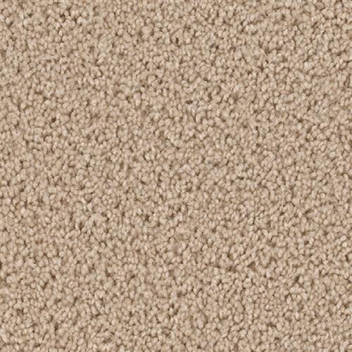 Shop for Carpet in Osage Beach, MO from Dugan's