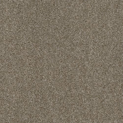 Shop for Carpet in Gadsden, AL from Alley's Carpet