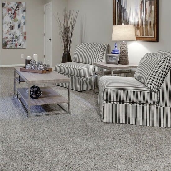 Shop for Carpet in Tinley Park, IL from Landmark Flooring