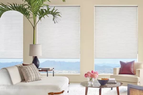 Cellular Shades in Amissville, VA from Early's Shades & Shutters