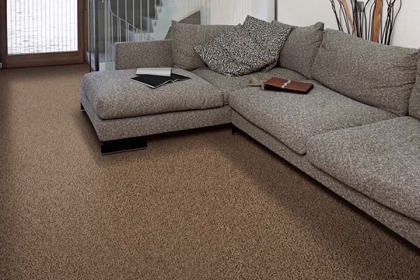 Beautiful textured carpet in