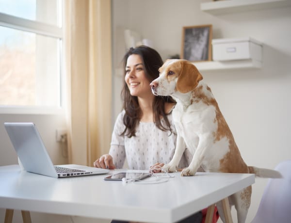 Reviews for Strand's in Marshalltown