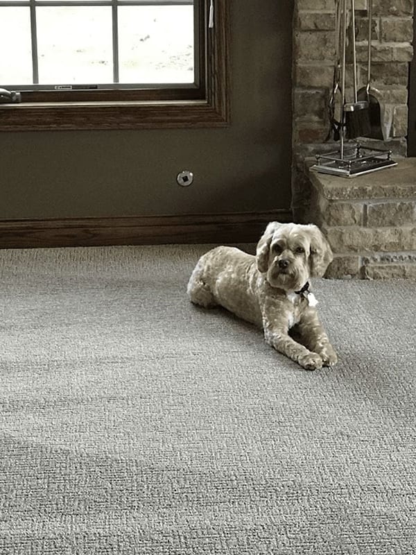 Carpet in Cedar Lake, IN
