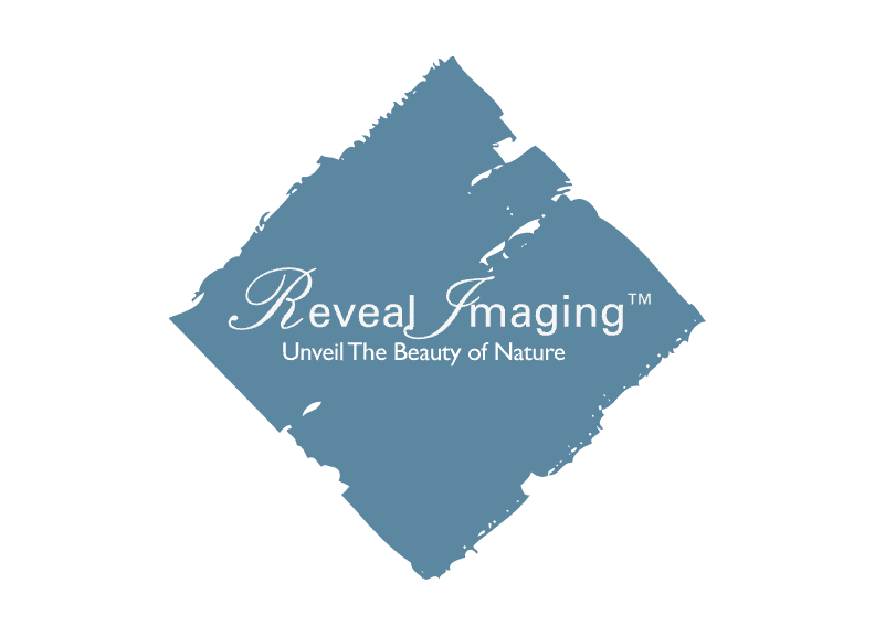 Reveal Imaging flooring in Lafayette County, MS from Stout's Carpet & Flooring