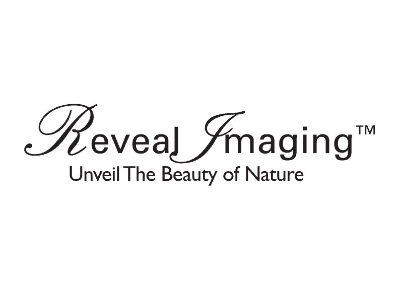 Reveal Imaging flooring in Warrenton, VA from Early's Flooring Specialists & More