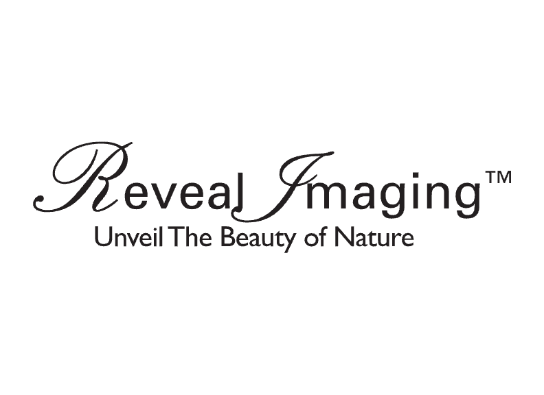 Reveal Imaging flooring in Bethel, PA from Weaver's Carpet & Tile