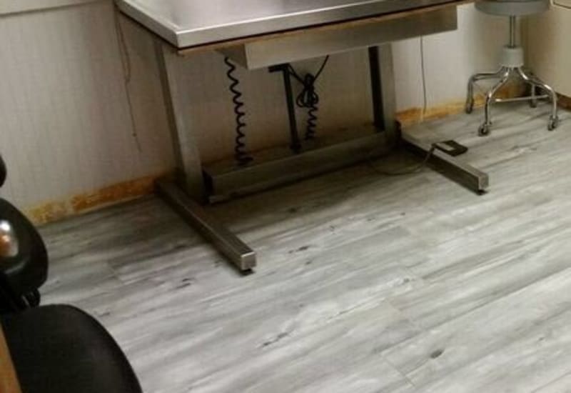 Animal Hospitals & Veterinarians