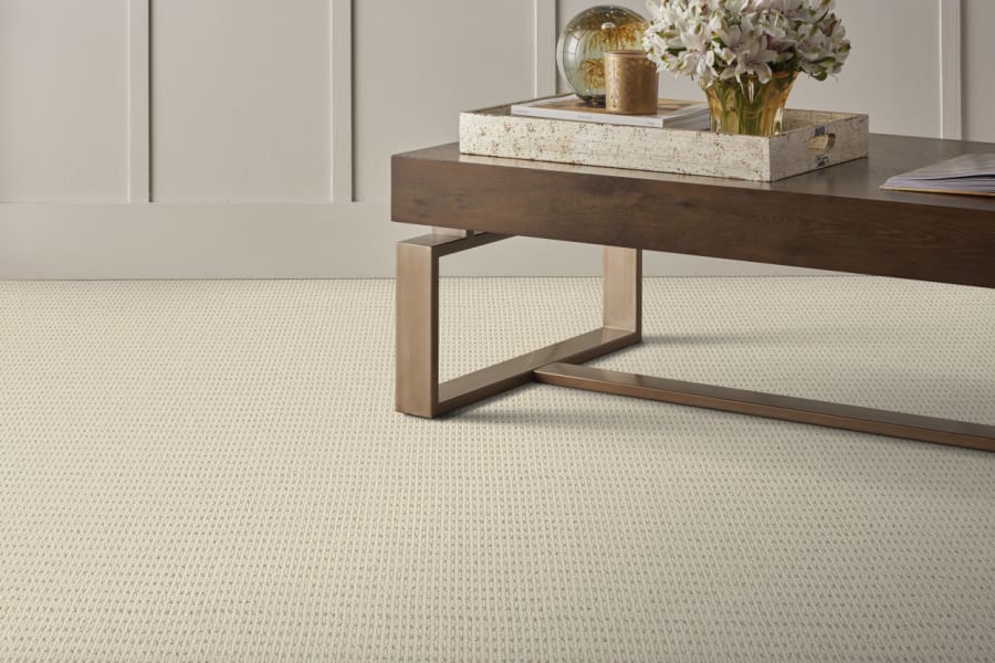 Carpet from Fishsticks Flooring, Kitchen & Bath