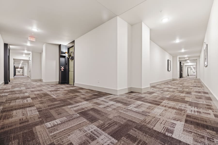 Commercial portfolio from Goodwyn Flooring Companies